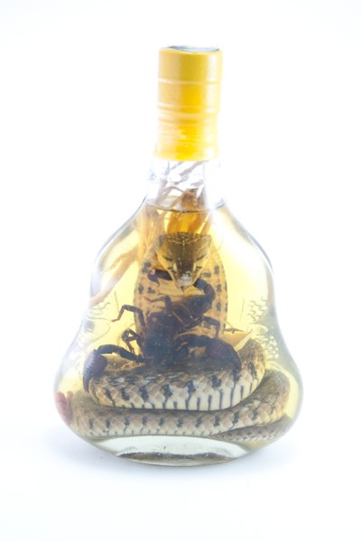 BUY A SECOND BIG SNAKE WINE BOTTLE FOR 39 EUROS ONLY