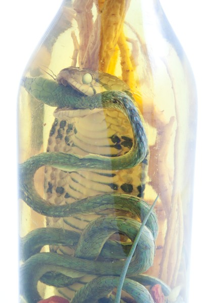 AUTHENTIC SNAKE WINE LIQUOR WITH REAL COBRA SNAKE, VIETNAMESE WINE AIRMAIL